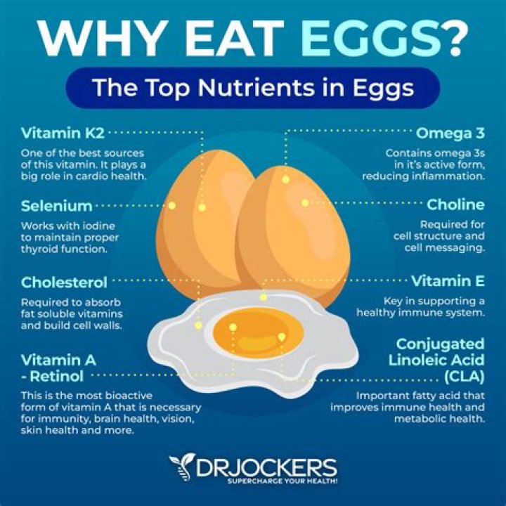 Are eggs good for the brain?
