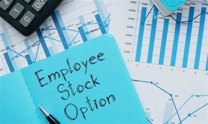 Are employee stock options worth it?