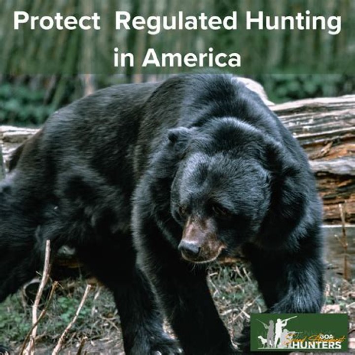 Are HOAs regulated in Colorado?