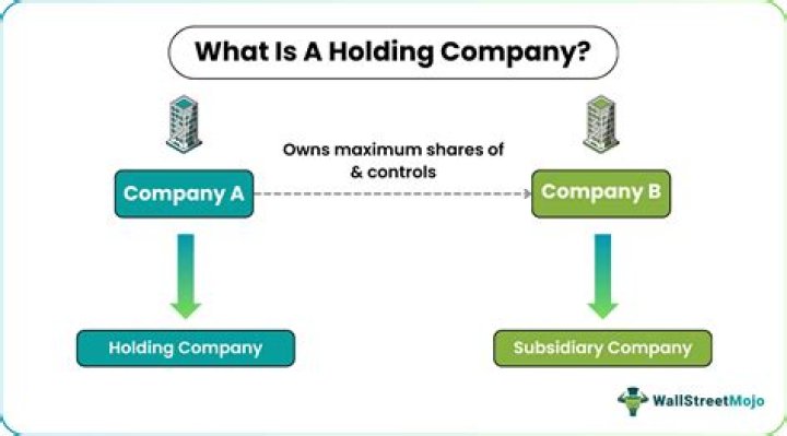 Are holding companies operating?