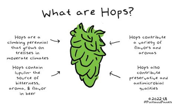 Are hops drugs?