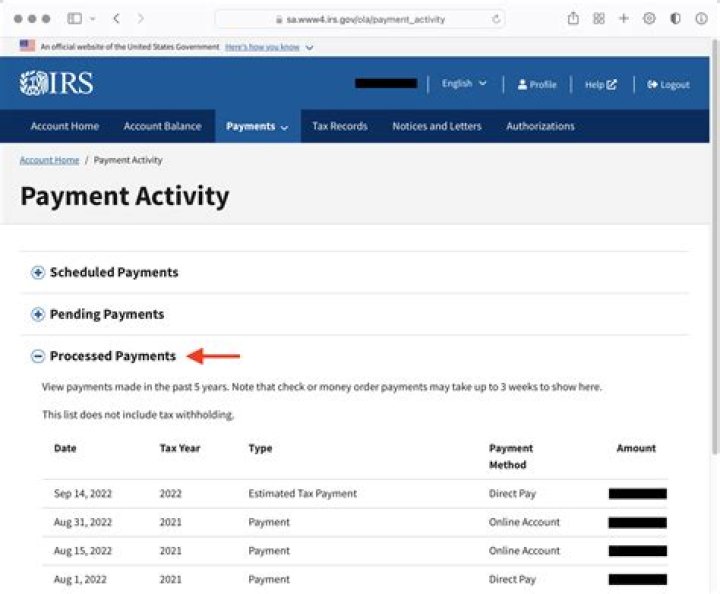 Are IRS payments suspended?