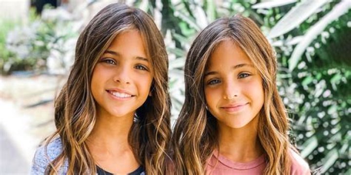 Are IVF twins really twins?