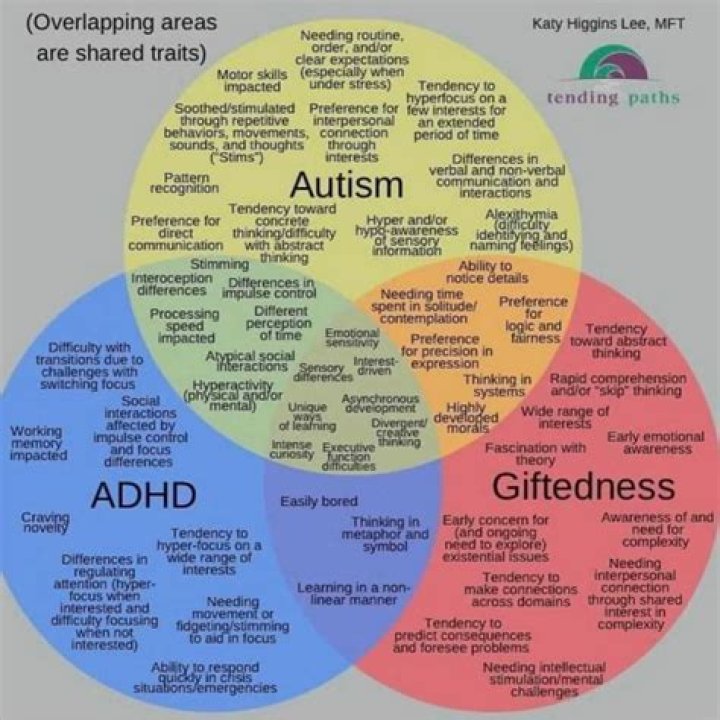 Are people with autism wired differently?