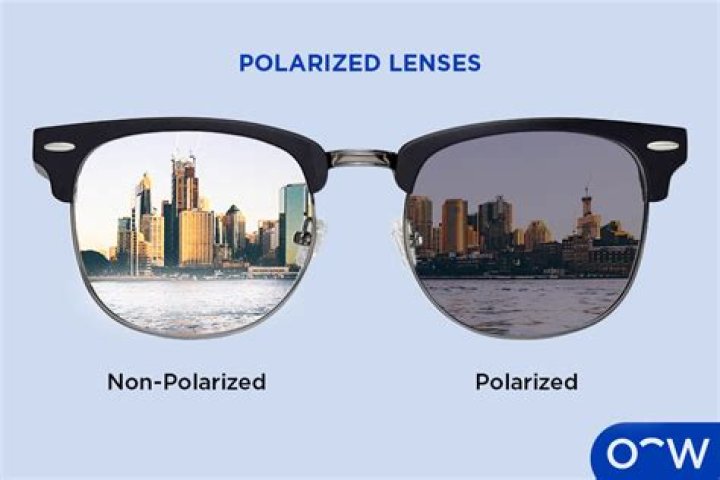 Are polarized glasses that much better?