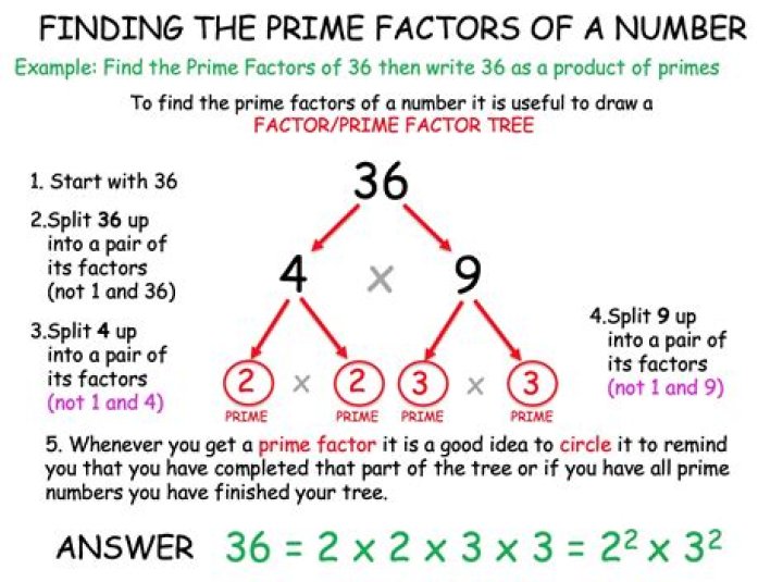 Are there prime numbers with 3 factors?
