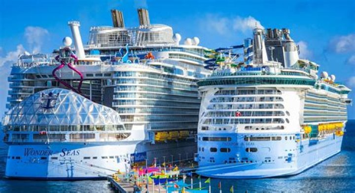 Are there roaches on cruise ships?