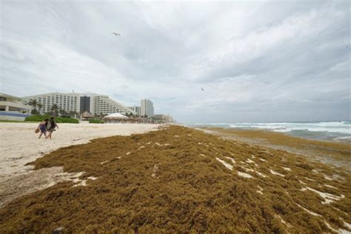 Are ticks a problem in Costa Rica?