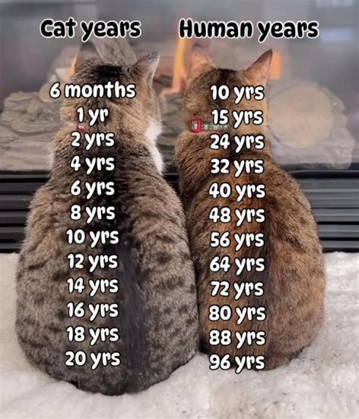 Can a 17 years old drive alone?