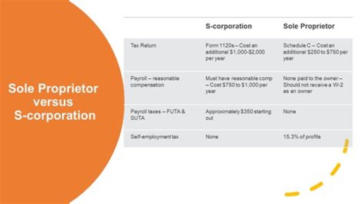 Can a CPA be a sole proprietor?