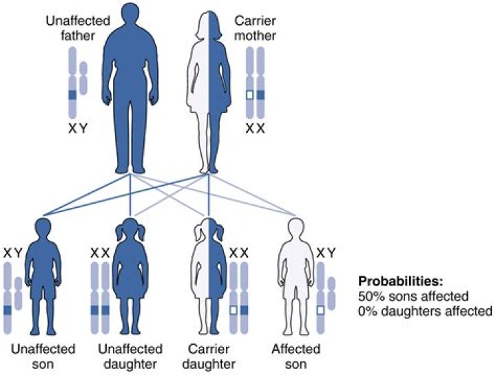 Can a non biological child inherit?