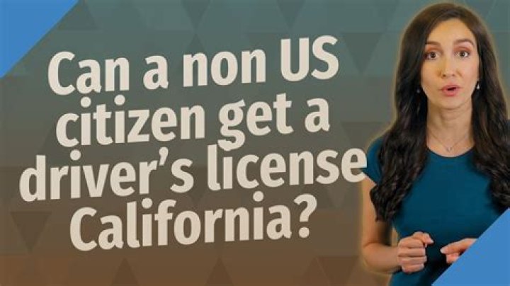 Can a non US citizen Start LLC?