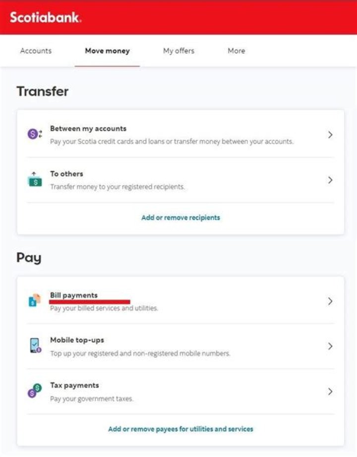 Can a rep payee have online access?