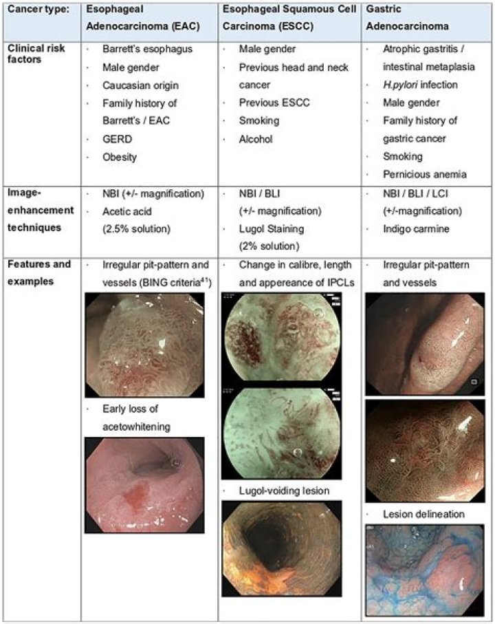 Can an endoscopy detect bowel problems?