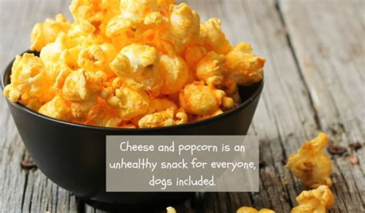 Can dogs eat cheese popcorn?