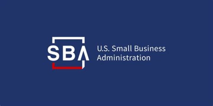 Can I edit my SBA disaster loan application?