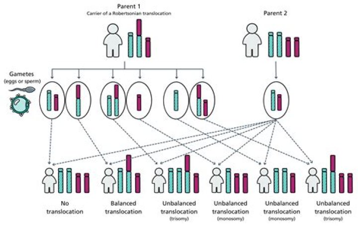 Can memories be passed down through DNA?