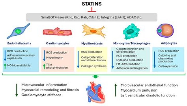 Can statins cause falls?