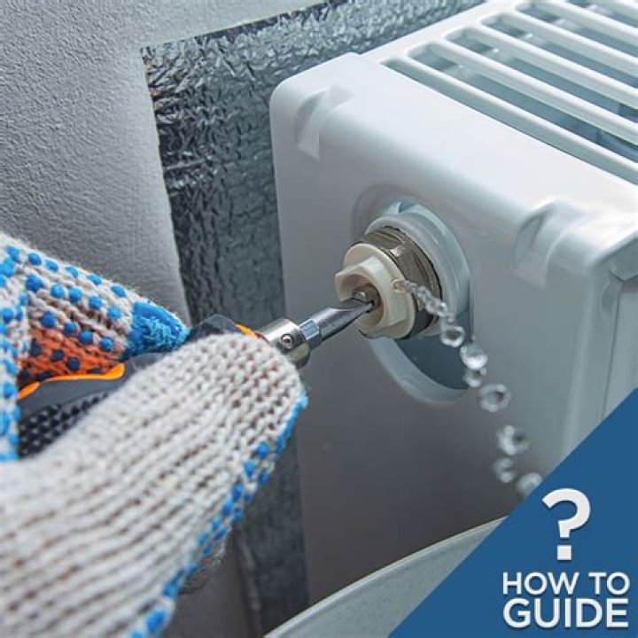Can you bleed a steam radiator?
