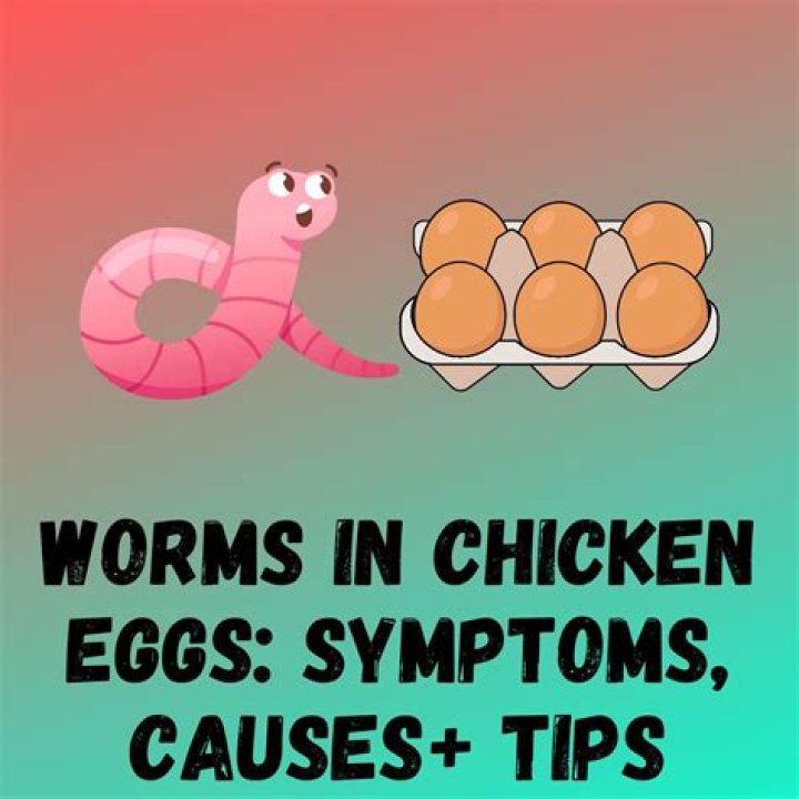 Can you eat eggs if chicken has worms?
