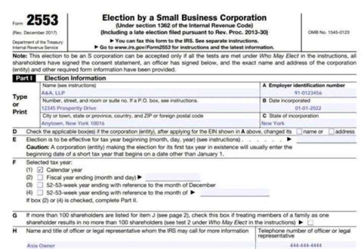 Can you electronically sign form 2553?
