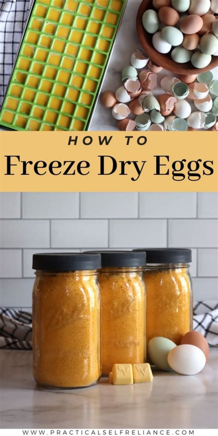 Can you freeze dry raw eggs?