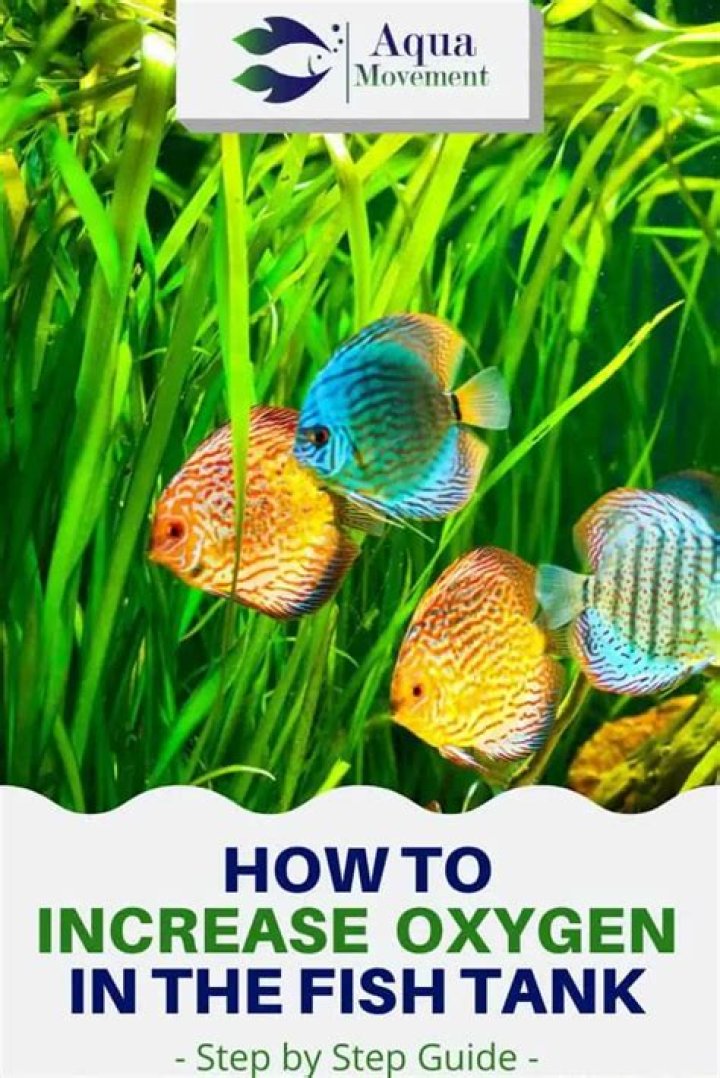 Can you over oxygenate fish?