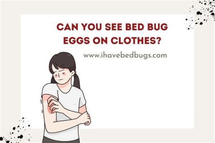 Can you see bed bug eggs on clothes?