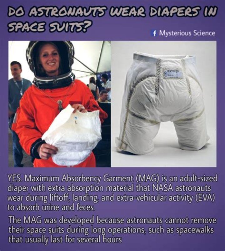 Did Apollo astronauts wear diapers?