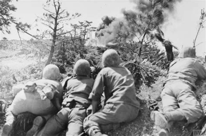 Did Japan ever invade Vietnam?