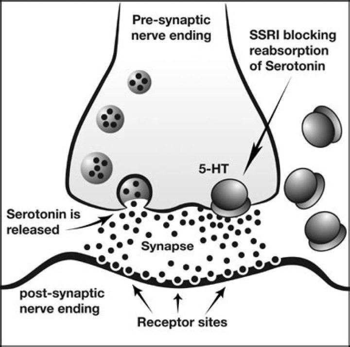 Do antihistamines affect serotonin?
