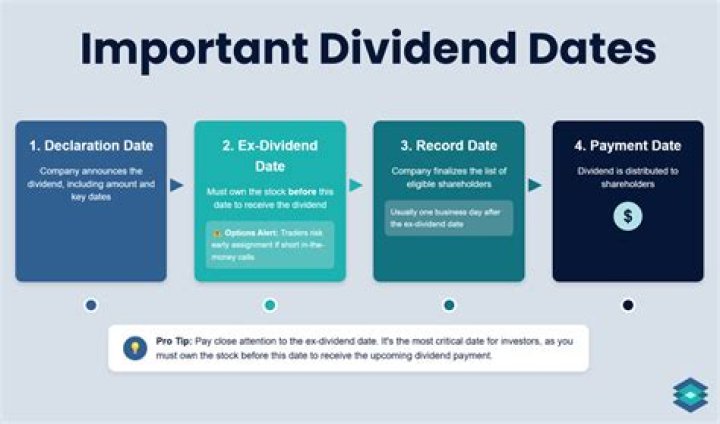 Do call options pay dividends?