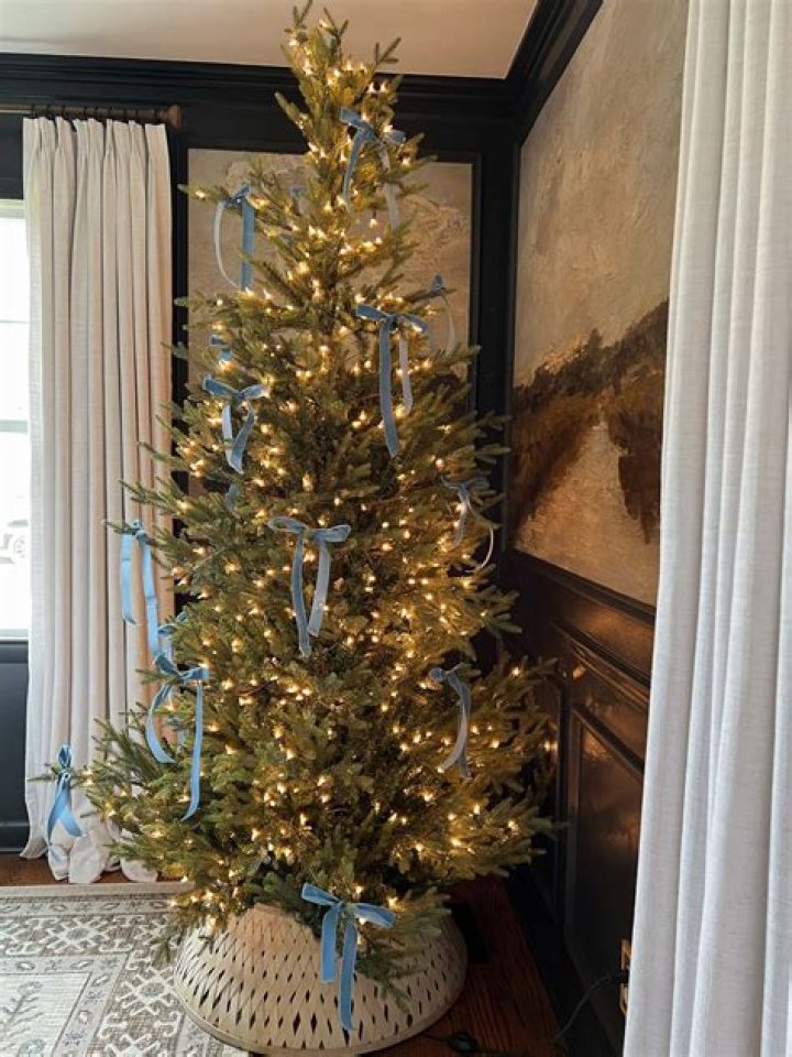 Do cats pee on Christmas trees?