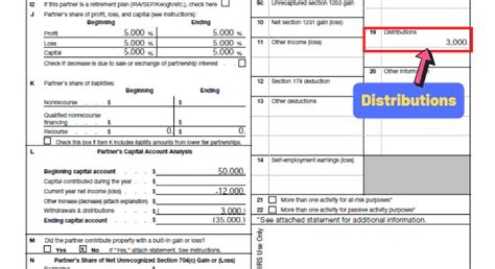 Do corporate returns have k1s?