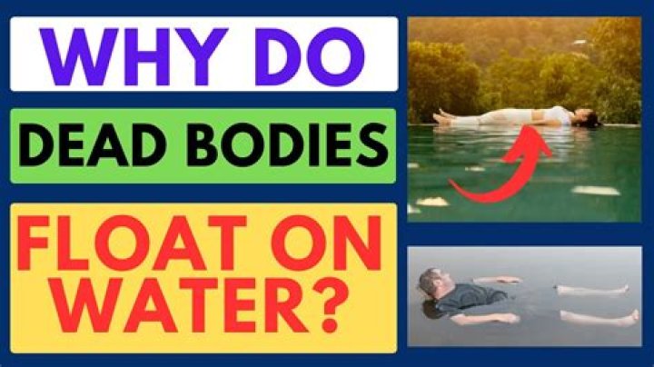 Do dead bodies have rights?