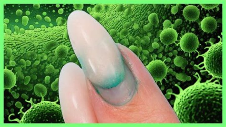 Do Dip nails hold bacteria?