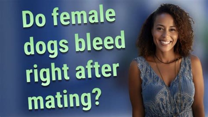 Do female dogs bleed?