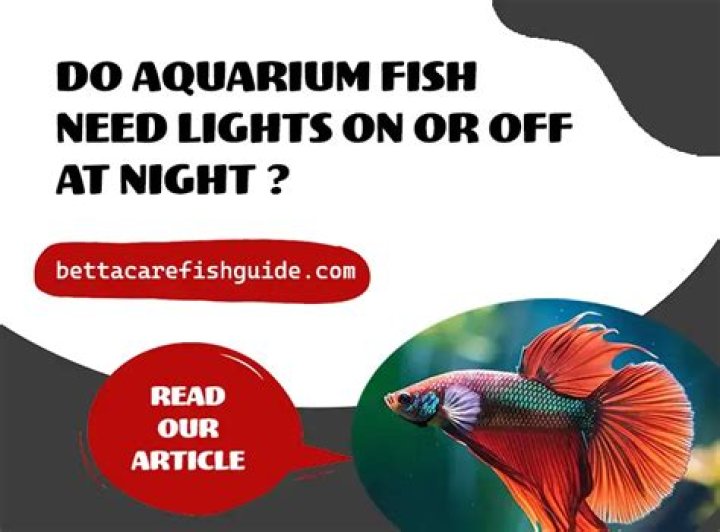Do fish need lights at night?