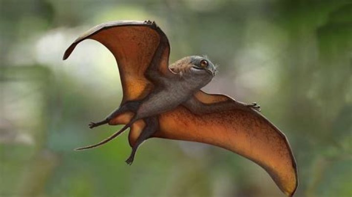 Do flying reptiles still exist?