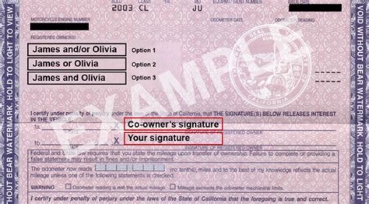 Do LLC owners need a W-2?
