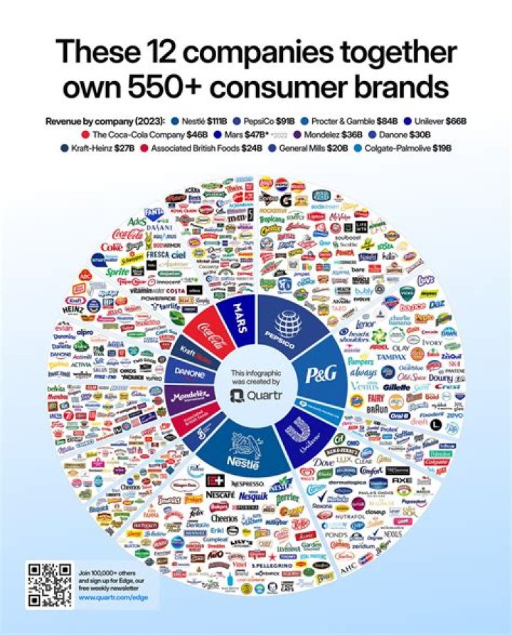 Do share holders own a company?