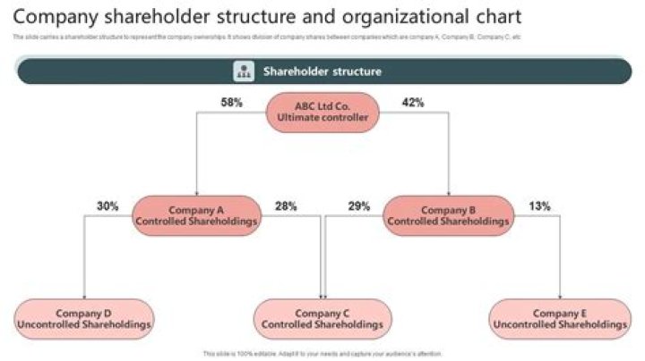 Do shareholders make decisions in a corporation?