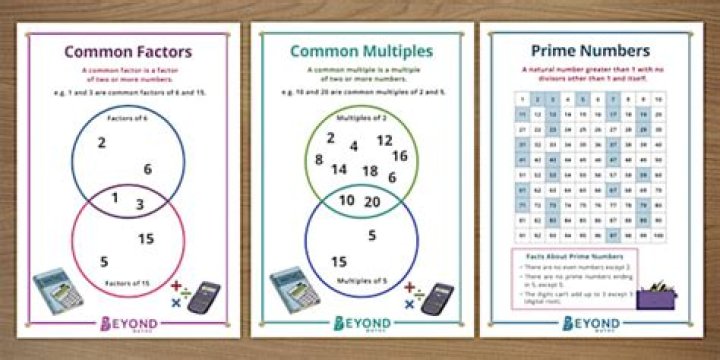 Do some numbers have no common factors?