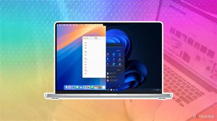 Do windows look better without screens?