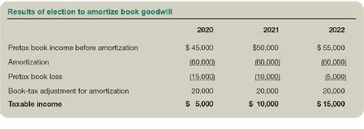Do you amortize negative goodwill?