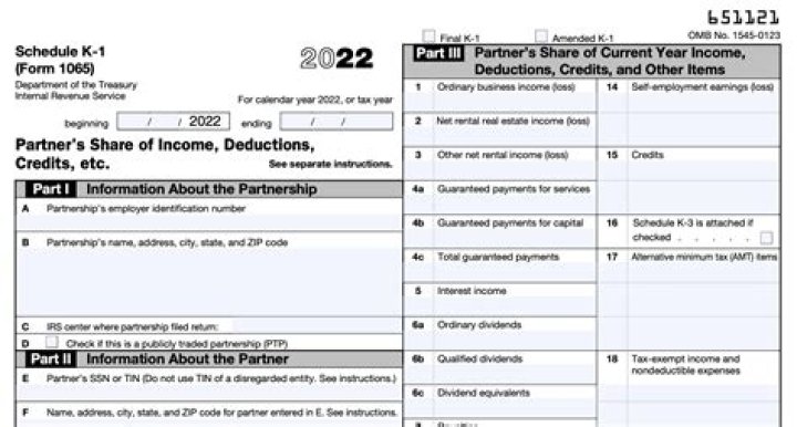 Does an LLC need to file form 8832?