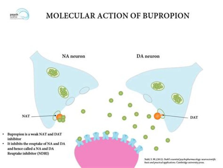 Does bupropion help with focus?