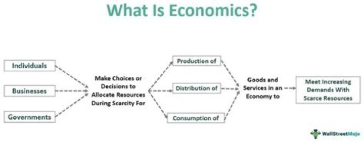 Does economics fall under business administration?