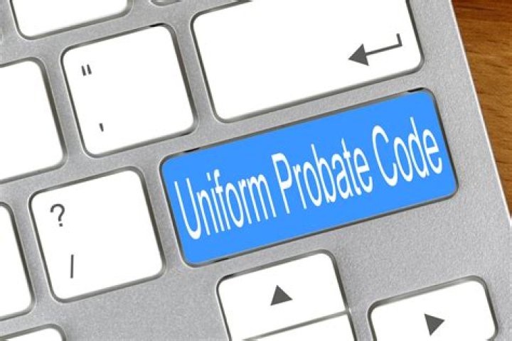 Does Michigan have a Uniform Probate Code?