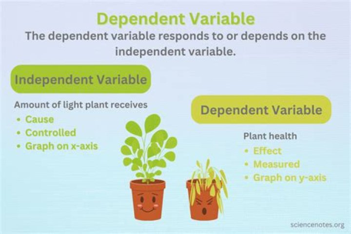 Does mother count as dependent?